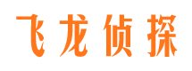 龙井侦探公司